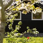Fy371-otterup-sitkavaenget-40 *